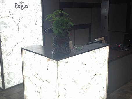 雷格斯办公中心(财富中心店)